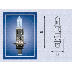 Lampadina H1 12V 55W